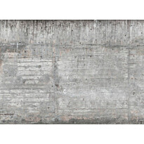 Kuvatapetti A.S. Creation Designwalls Concrete Wall 2, 350x255cm, harmaa