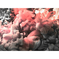 Kuvatapetti A.S. Creation Designwalls Colored Smoke, 350x255cm