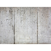 Kuvatapetti A.S. Creation Designwalls Concrete Wall, 350x255cm, harmaa