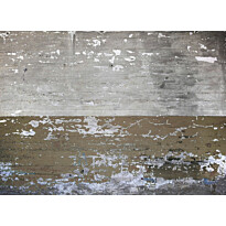 Kuvatapetti A.S. Creation Designwalls Concrete Coated, 350x255cm, harmaa