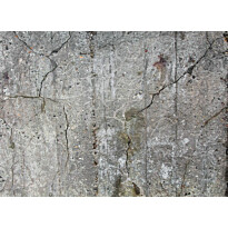 Kuvatapetti A.S. Creation Designwalls Old Concrete, 350x255cm, harmaa