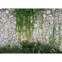 Kuvatapetti A.S. Creation Designwalls Stonewall, 350x255cm, vihreä