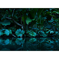 Kuvatapetti A.S. Creation Designwalls Tropical, 350x255cm, sininen