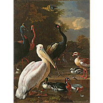 Kuvatapetti A.S. Creation History of Art Menagerie, 400x270cm, ruskea