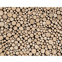 Kuvatapetti Galerie Global Fusion Digital C6, 318x250cm, ruskea
