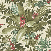 Tapetti Asperia A5580X