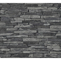 Tapetti A.S. Creation Best of Wood&#039;n Stone II D T42XX