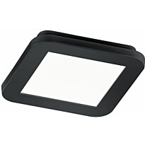 LED-plafondi Trio Camillus, 17x17 cm, mattamusta