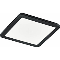 LED-plafondi Trio Camillus, 30x30 cm, mattamusta