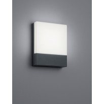 LED-seinävalaisin Trio Pecos 200x160 mm, antrasiitti