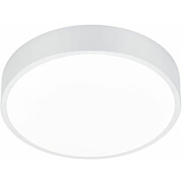 Kattovalaisin Trio Waco LED, Ø30cm, eri värejä