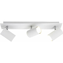 Kattospotti Trio Marley, 480x90x150 mm, 3-osainen valkoinen