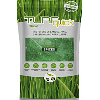 Ruohosipulin siemenet Turfquick, kasvualustalla