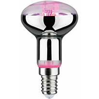 LED-kasvilamppu Paulmann Grow Green Edition Reflector, E14, R50, 100lm, 4W, 1300K, hopea