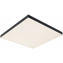 LED-paneeli Paulmann Velora, 45x45cm, 19W, 3000-6500K, RGBW, himmennettävä, eri värejä