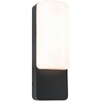 LED-ulkoseinävalaisin Paulmann Bonnie, IP44, 3000K, antrasiitti