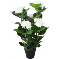 Tekokukka ruukulla hortensia 60 cm valkoinen