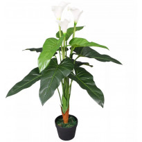 Tekokukka ruukulla huonevehka/kalla 85 cm valkoinen