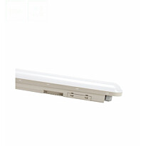 Teollisuusvalaisin Spectrum Limea Connect tiivistetty 120° IP65 IK08 harmaa, eri vaihtoehtoja
