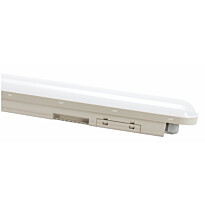 Teollisuusvalaisin Spectrum Limea Connect tiivistetty 120° IP65 IK08 harmaa, eri vaihtoehtoja