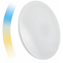 Älyplafondi Spectrum Nymphea Ø390x70mm 24W CCT+DIM WI-FI/BT IP20 3000-6000K kattoon