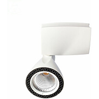 Kiskovalaisin Spectrum Madara COB LED 30W 16° 6000K 115x263x127mm valkoinen