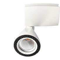Kiskovalaisin Spectrum Madara COB LED 30W 36° 6000K 115x263x127mm valkoinen