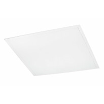 LED-paneeli Spectrum Algine Backlight 40W 6000K 120° 4800lm 595x595x32mm valkoinen