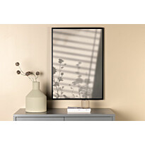 Juliste Venture Home Flower shadow, valkoinen