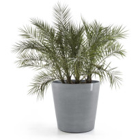 Kukkaruukku pyörillä Ecopots Amsterdam, eri kokoja ja värejä
