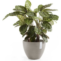 Kukkaruukku Ecopots Antwerpen, eri kokoja ja värejä