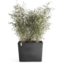 Kukkaruukku pyörillä Ecopots Pariisi, eri kokoja ja värejä