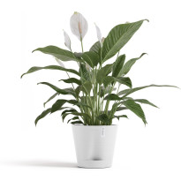 Kukkaruukku Ecopots Venetsia 2.0, eri kokoja ja värejä