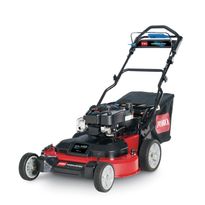 Itsevetävä ruohonleikkuri Timemaster 76 AD, B&amp;S 1000, 223cc, 76cm