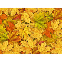 Kuvatapetti Rebel Walls Autumn Leaves, non-woven, mittatilaus