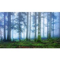 Maisematapetti Rebel Walls Blue Forest, non-woven, mittatilaus
