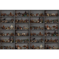 Kuvatapetti Rebel Walls Cabinet of Curios Night, non-woven, mittatilaus