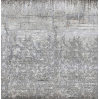 Kuvatapetti Rebel Walls Climbing Clorofyl Shadow, non-woven, mittatilaus