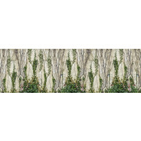 Kuvatapetti Rebel Walls Climbing Ivy, non-woven, mittatilaus