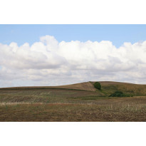 Maisematapetti Rebel Walls Cropland, non-woven, mittatilaus