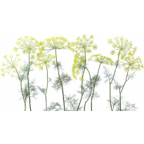 Kuvatapetti Rebel Walls Crown Of Dill, non-woven, mittatilaus