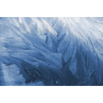 Kuvatapetti Rebel Walls Feathers, non-woven, mittatilaus
