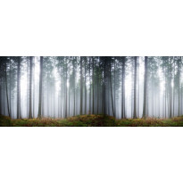 Maisematapetti Rebel Walls Forest Glade, non-woven, mittatilaus