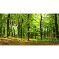 Maisematapetti Rebel Walls Forest, non-woven, mittatilaus