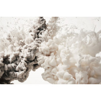 Kuvatapetti Rebel Walls Frozen Moment Cream, non-woven, mittatilaus