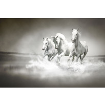 Kuvatapetti Rebel Walls Horses, non-woven, mittatilaus