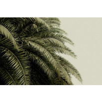 Kuvatapetti Rebel Walls Leaf Love, non-woven, mittatilaus