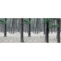Maisematapetti Rebel Walls Pine Forest, non-woven, mittatilaus