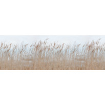 Kuvatapetti Rebel Walls Swaying Reed, non-woven, mittatilaus