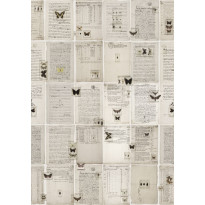 Kuvatapetti Rebel Walls The Butterfly Library, non-woven, mittatilaus